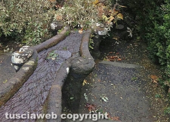 Albero cade sulla fontana del Gambero