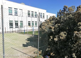 Viterbo - Albero crollato alla scuola di Bagnaia