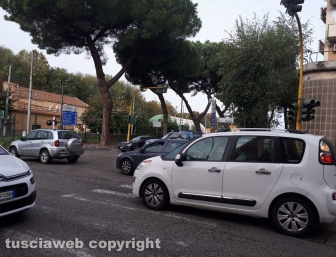 Albero caduto sulla Teverina
