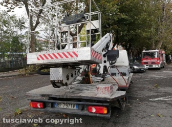 Albero caduto sulla Teverina