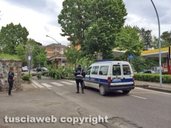Viterbo - Albero crolla in viale Trieste
