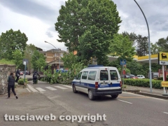 Viterbo - Albero crolla in viale Trieste