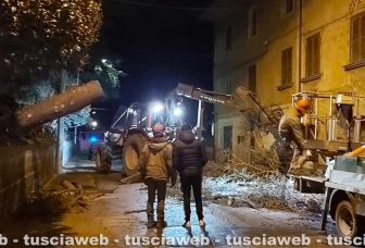 Vetralla - Crolla un grande albero e va sbattere su una casa