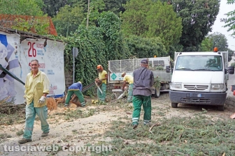 Viterbo - Liberata via del Pilastro