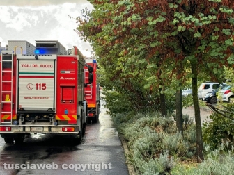 Viterbo - Albero si spezza e travolge due auto - Pompieri in azione