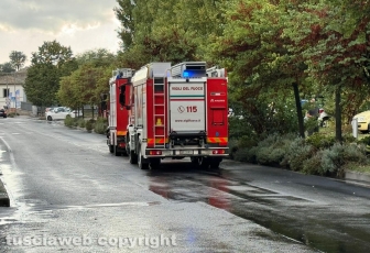 Viterbo - Albero si spezza e travolge due auto - Pompieri in azione