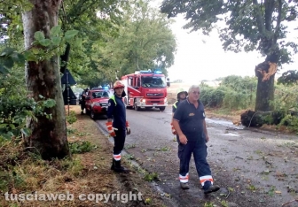 Montefiascone - Albero spezzato sulla Verentana