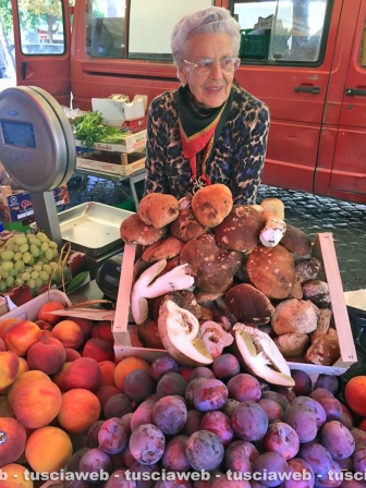 Nonna Pasqualina