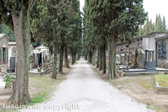 Alieu Jallow torna in Gambia