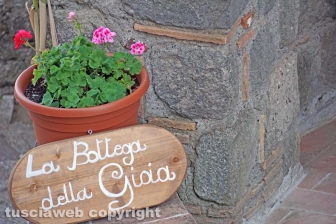 Alla corte di Alfonso de' Lagnis