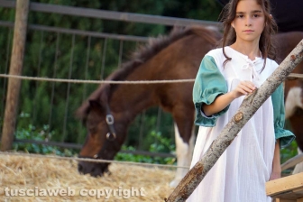 Alla corte di Alfonso de' Lagnis