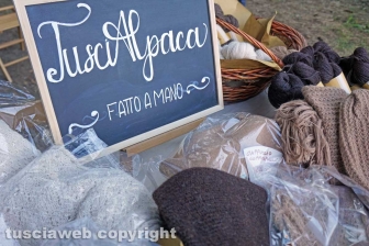 Alla corte di Alfonso de' Lagnis