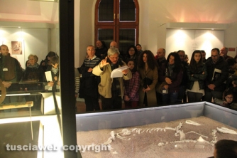 Alla scoperta del museo nazionale etrusco