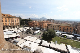 Alla scoperta del museo nazionale etrusco