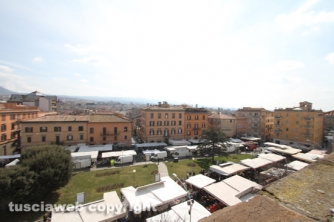 Alla scoperta del museo nazionale etrusco