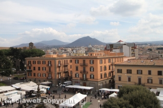 Alla scoperta del museo nazionale etrusco