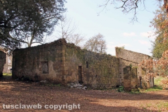 Capodimonte - Alla scoperta dell'isola Bisentina