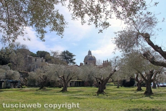 Capodimonte - Alla scoperta dell'isola Bisentina