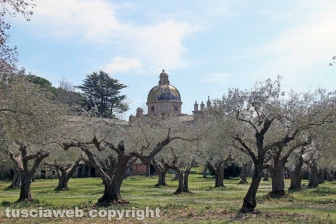 Capodimonte - Alla scoperta dell'isola Bisentina