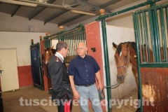 Allevamento degli Assi - I cavalli e i cavalieri