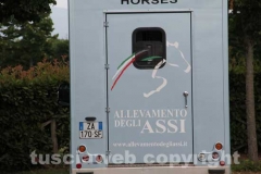 Allevamento degli Assi - I cavalli e i cavalieri