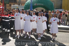 La parata degli alpini