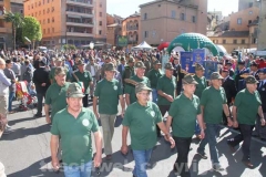 La parata degli alpini