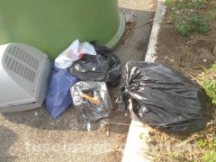 Discarica a cielo aperto in via Einaudi