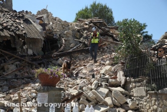 Terremoto - Amatrice e frazioni