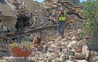 Terremoto - Amatrice e frazioni