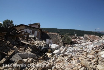 Terremoto - Amatrice e frazioni