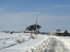 Anche le campagne sotto la neve