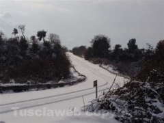 Anche le campagne sotto la neve