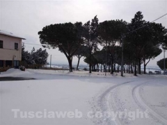 Anche le campagne sotto la neve