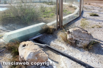 Ancora degrado al Bullicame