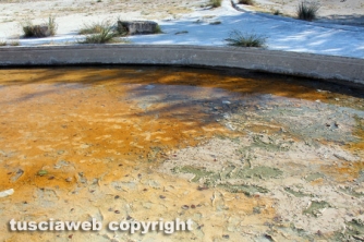 Ancora degrado al Bullicame