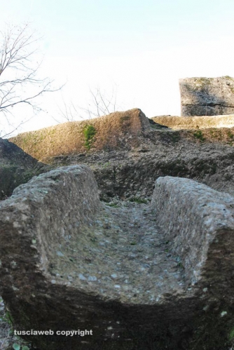 Anno degli Etruschi - Sulle tracce di Demetra