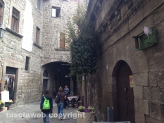 S. Pellegrino in Fiore 2014, l\'allestimento