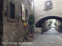 S. Pellegrino in Fiore 2014, l\'allestimento