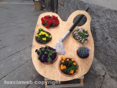 S. Pellegrino in Fiore 2014, l\'allestimento