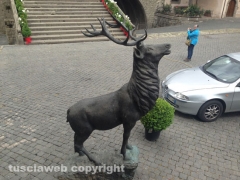 S. Pellegrino in Fiore 2014, l\'allestimento