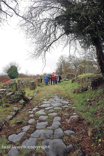 Apprendisti narratori a Ferento