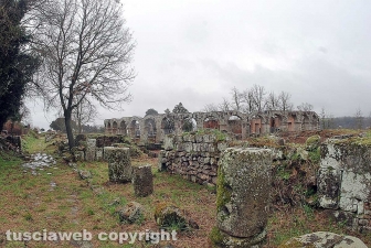 Apprendisti narratori a Ferento