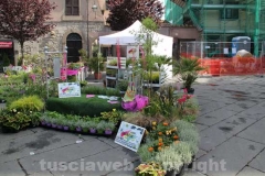 Inaugurato San Pellegrino in fiore