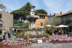 Inaugurato San Pellegrino in fiore