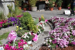 Inaugurato San Pellegrino in fiore