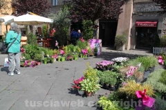 Inaugurato San Pellegrino in fiore