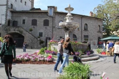 Piazza del Gesù