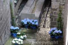 Inaugurato San Pellegrino in fiore