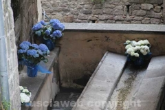 Inaugurato San Pellegrino in fiore